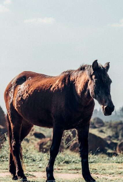 découvrez un vaste choix de mangas fascinants pour tous les passionnés de bandes dessinées japonaises. plongez dans des univers riches en émotions et en aventures avec notre sélection de mangas à couper le souffle.